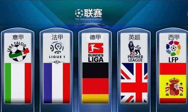 年度的国内
